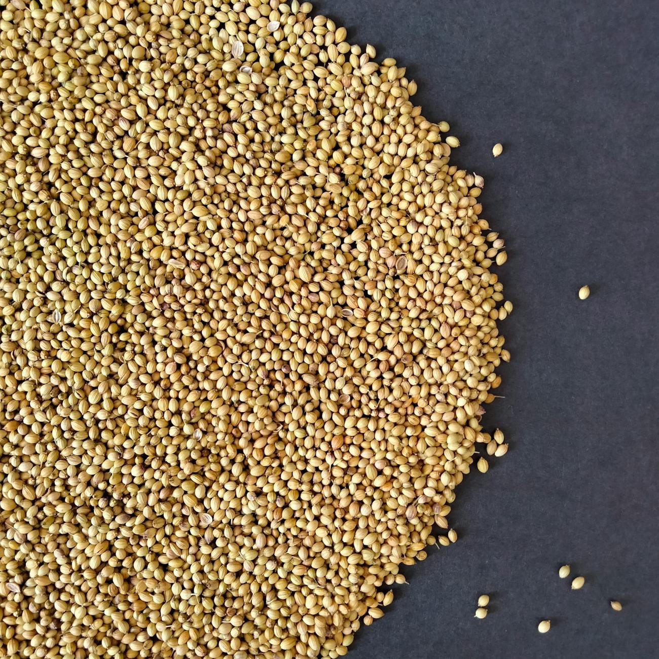 Whole Grains