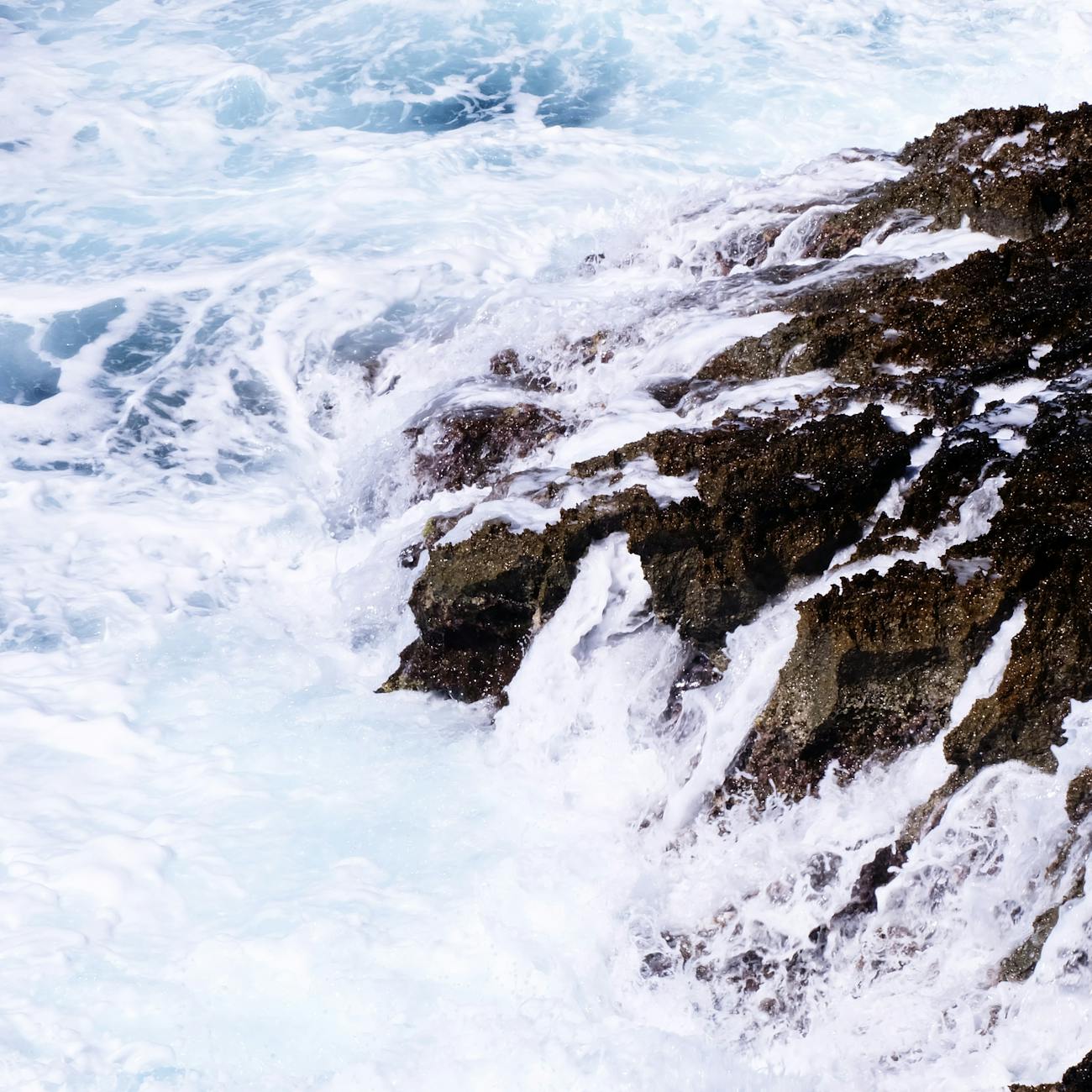 Climate Change and Ocean Acidification