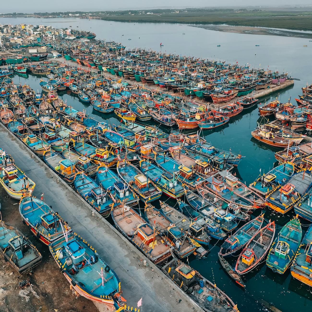 Fisheries Management and Bycatch Reduction