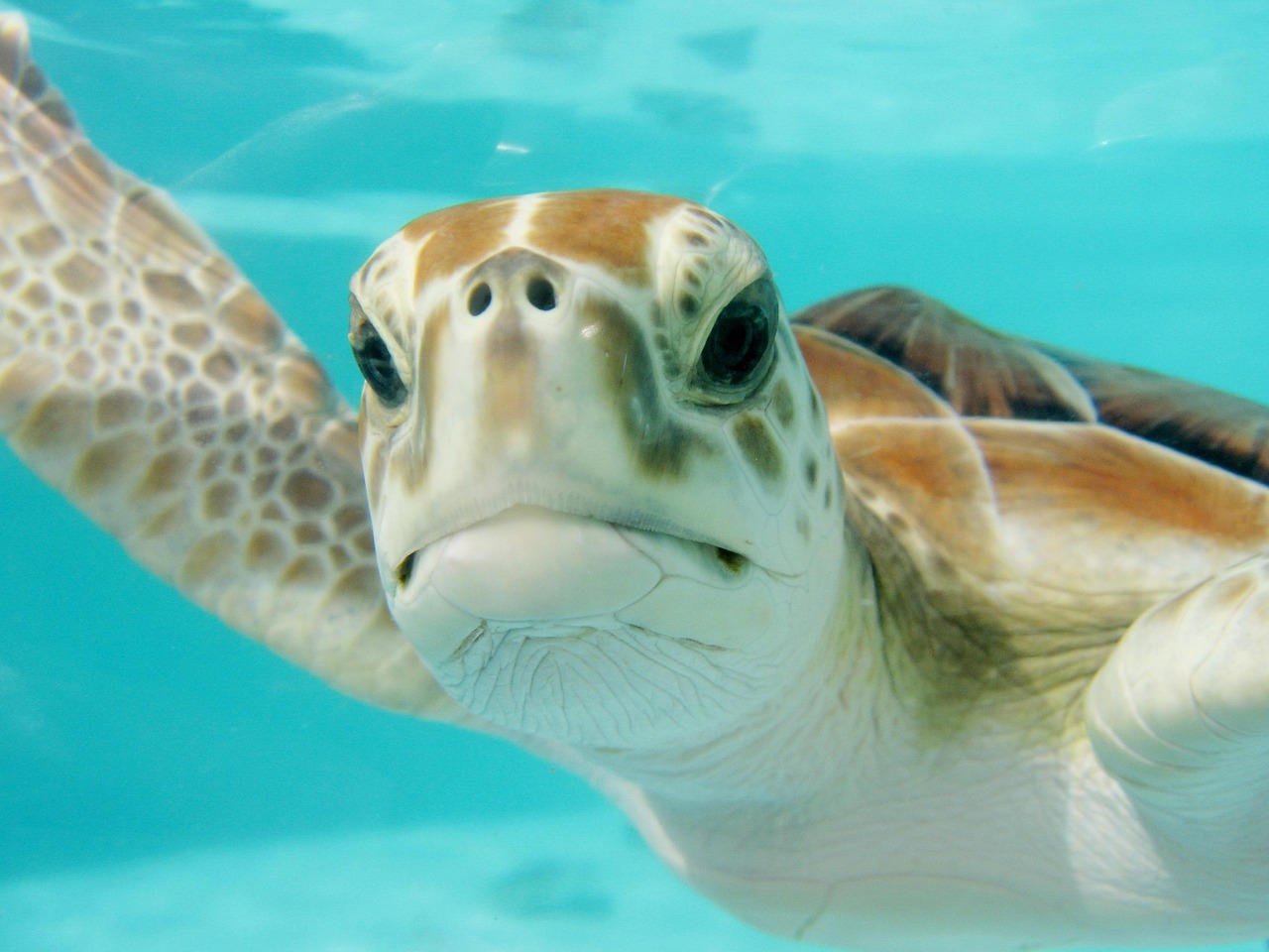 Best Management Practices for Marine Water Quality
