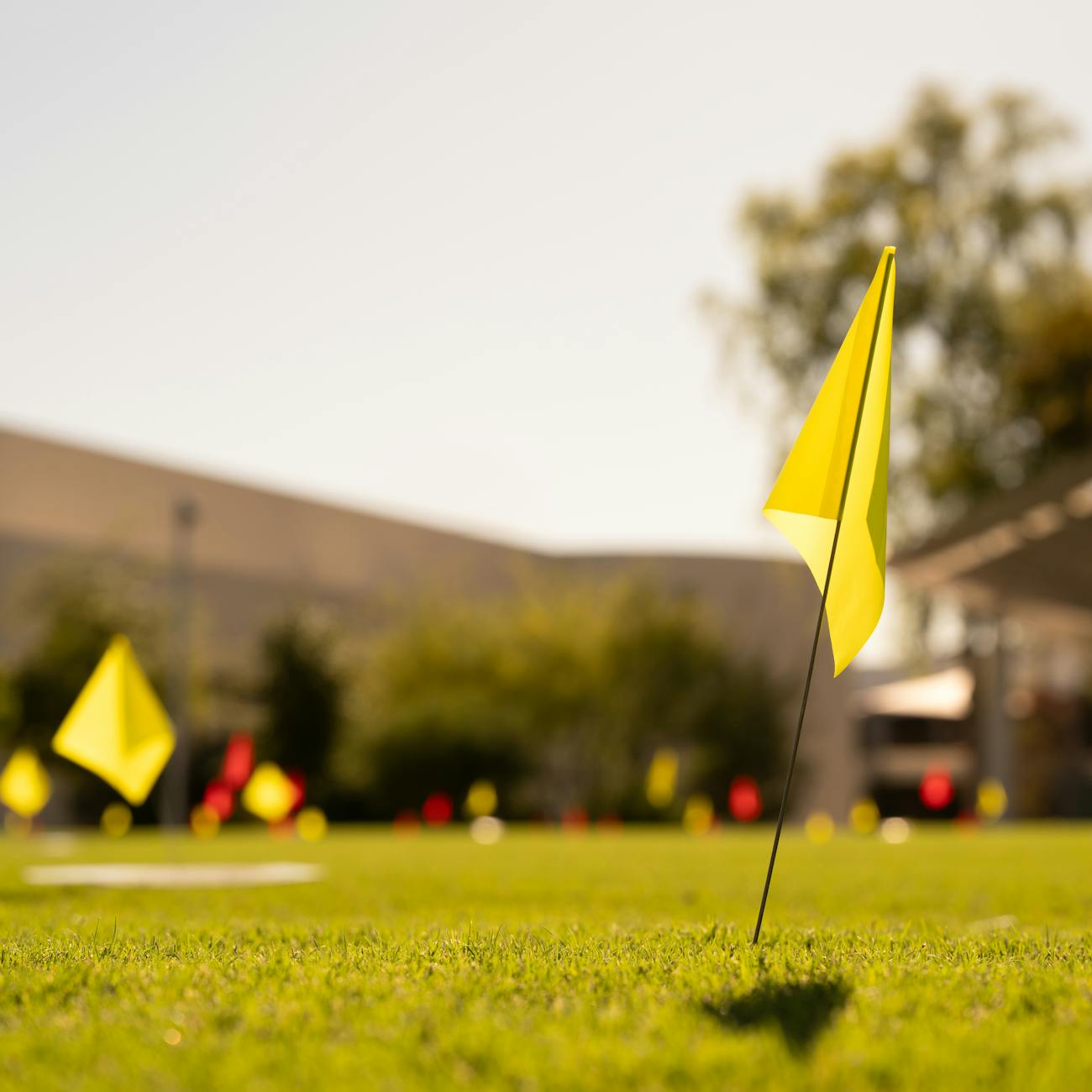 Golf Course Maintenance and Renovation