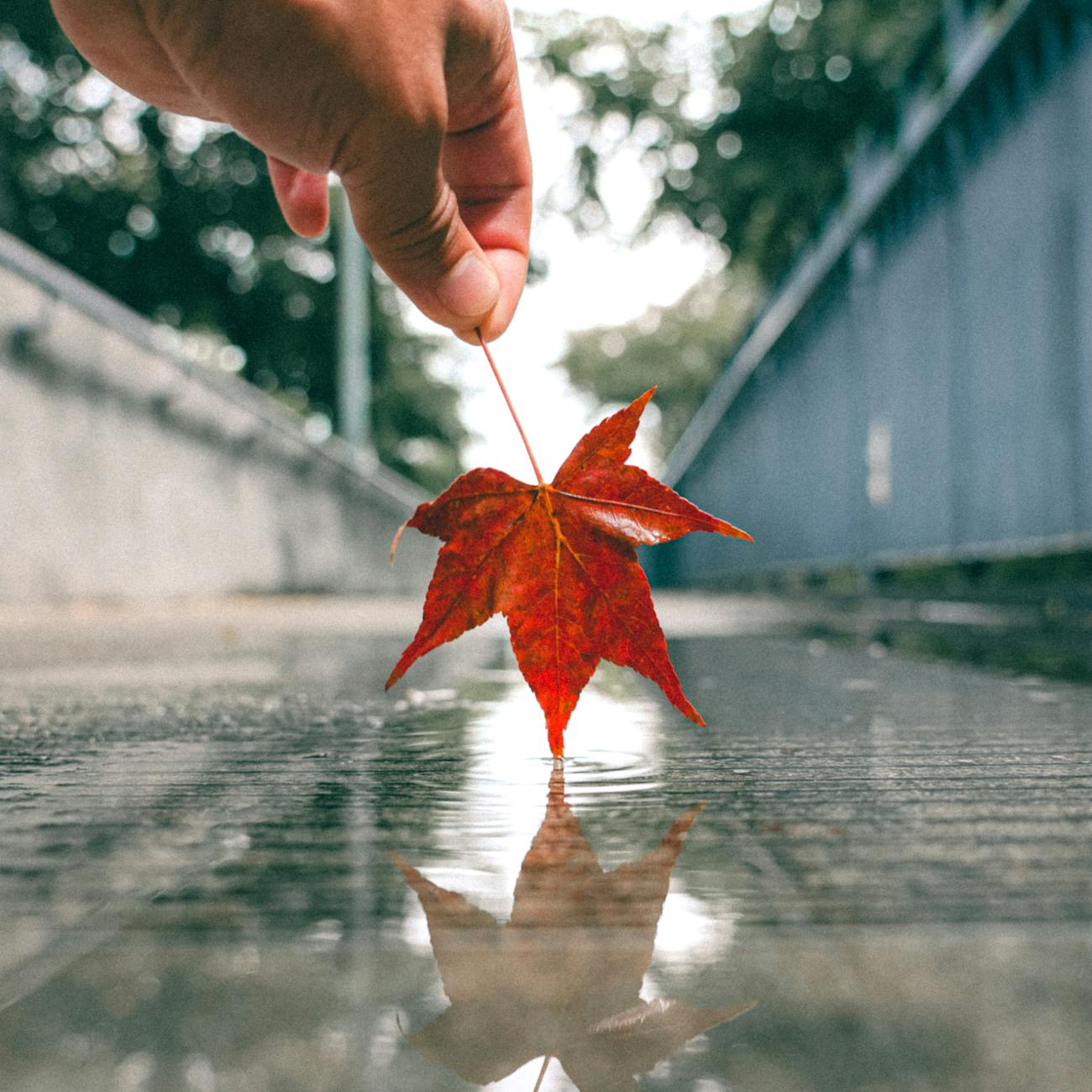 Reflecting on Practice