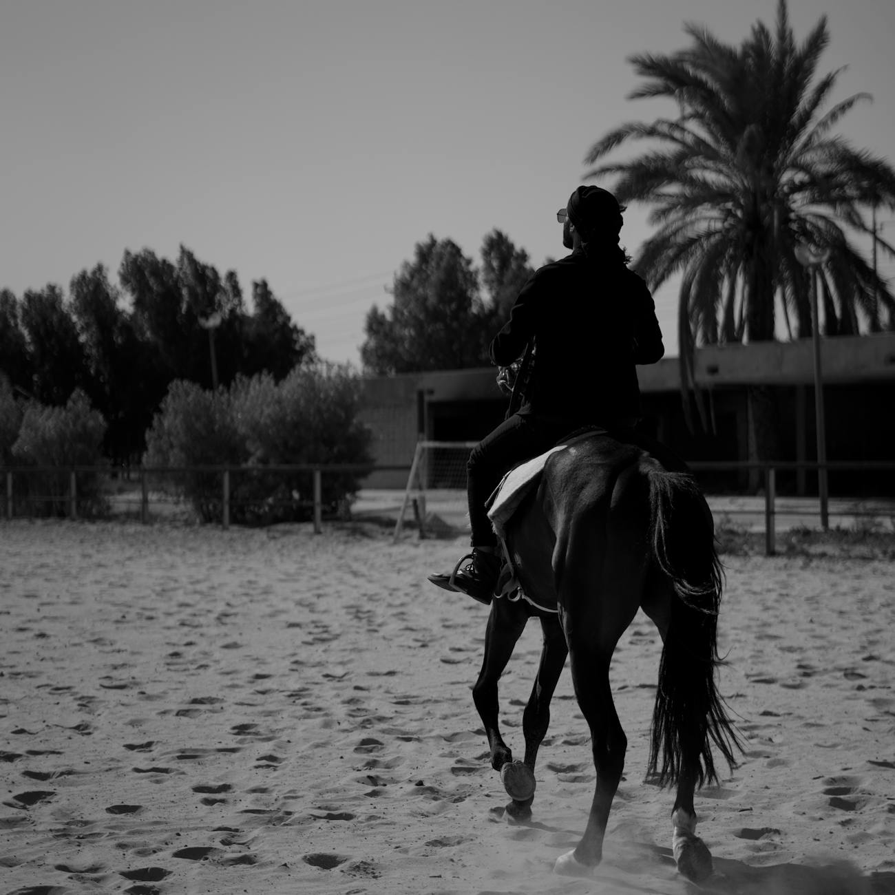 Equine Lameness Assessment
