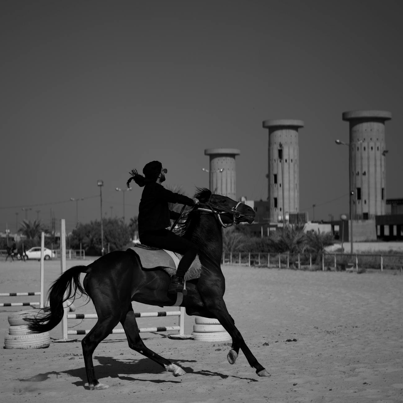 Equine Sports Medicine
