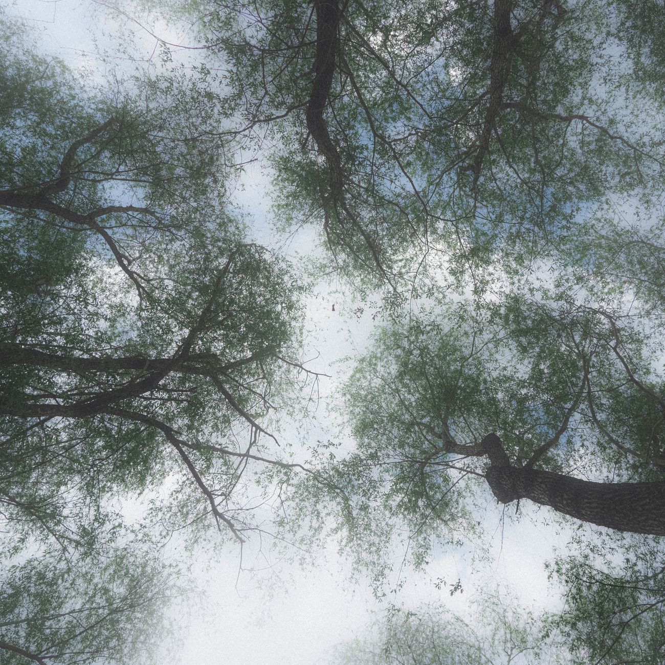 * Environmental Perception and Cognition