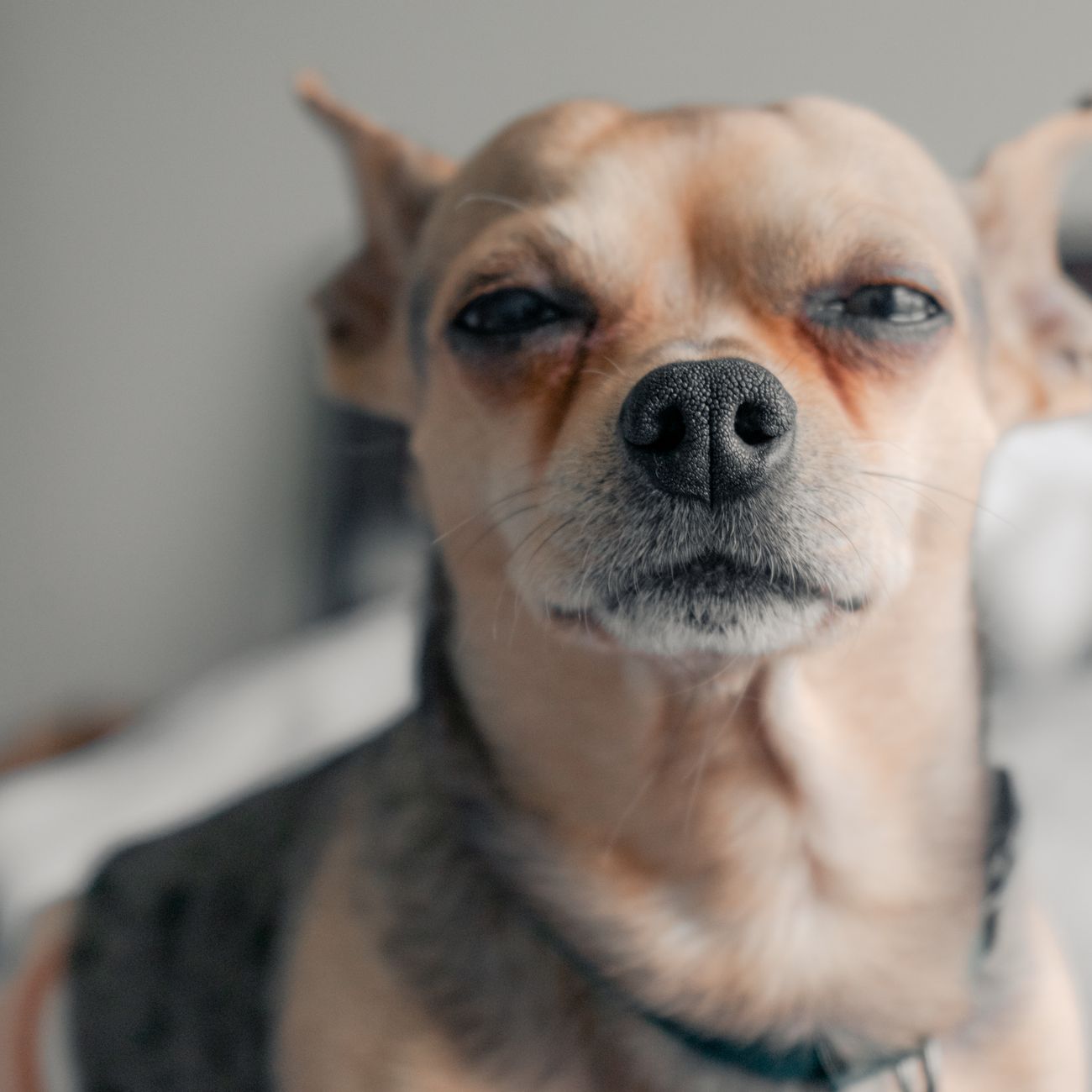 Advanced Allergy Treatment Options