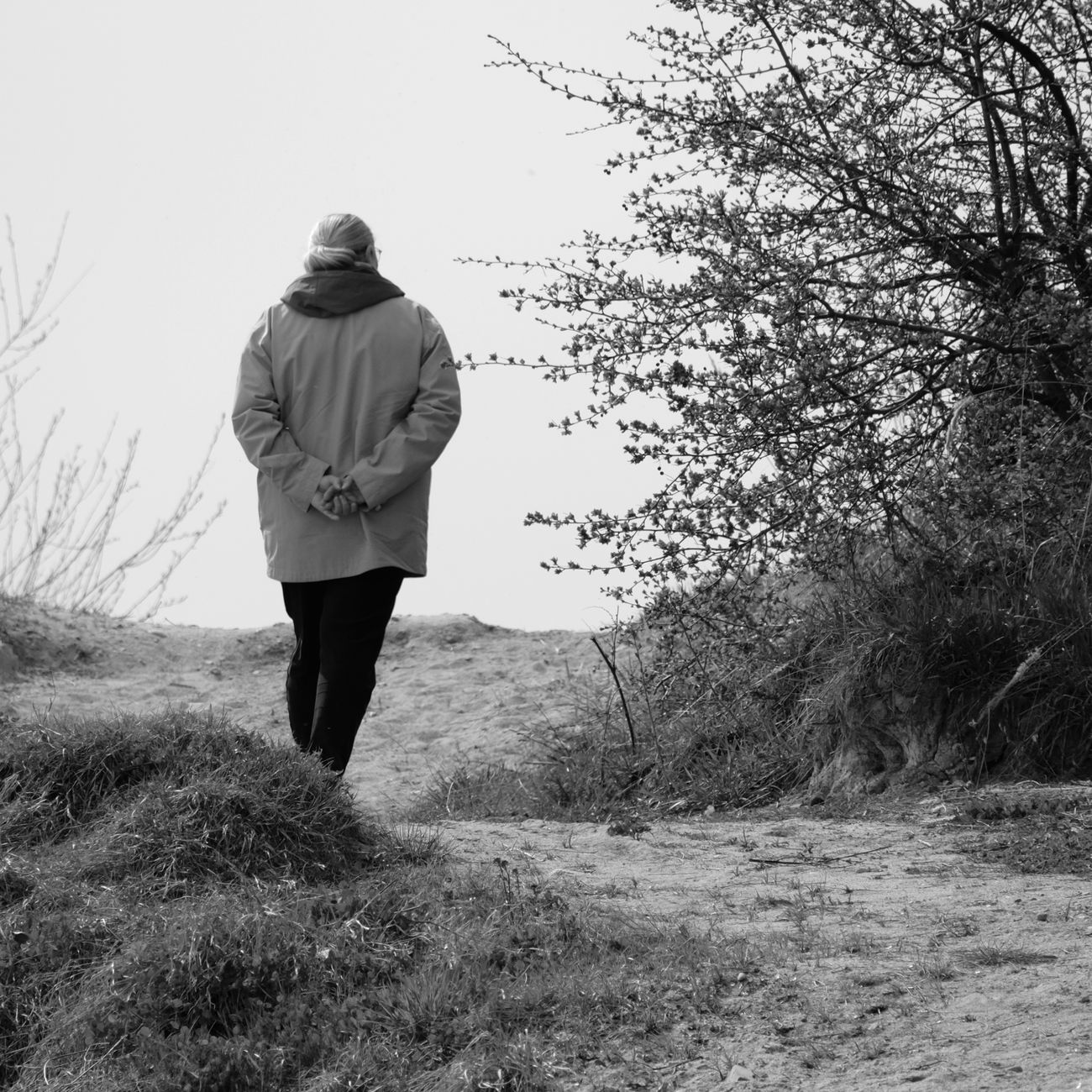 Geriatric Shiatsu Assessment And Diagnosis
