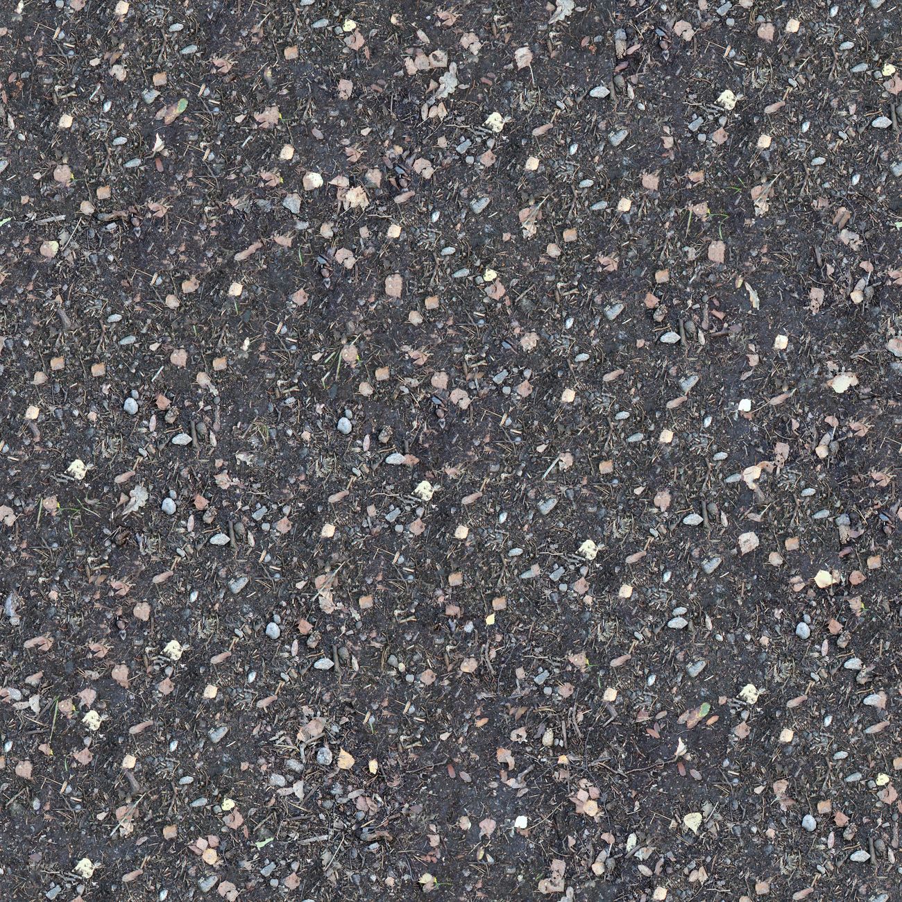 Compaction Methods and Field Density