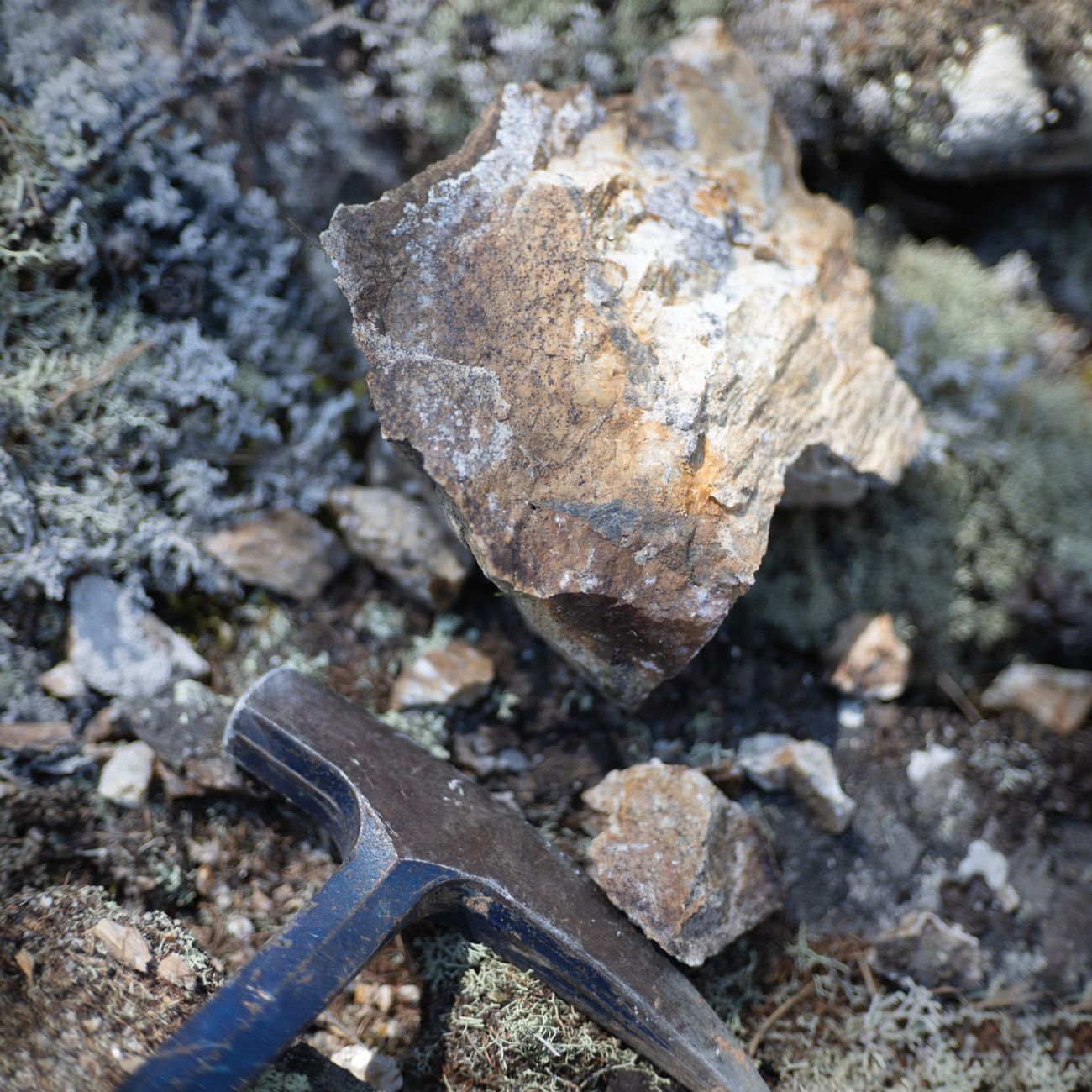 Metallurgical Analysis of Historic Arms
