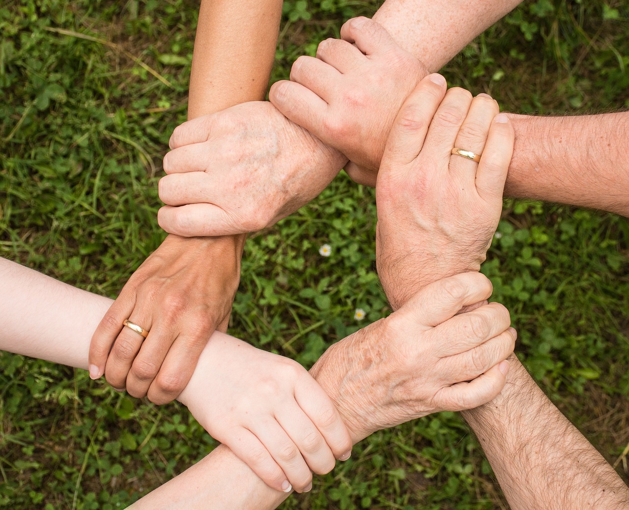 Interprofessional Collaboration and Communication