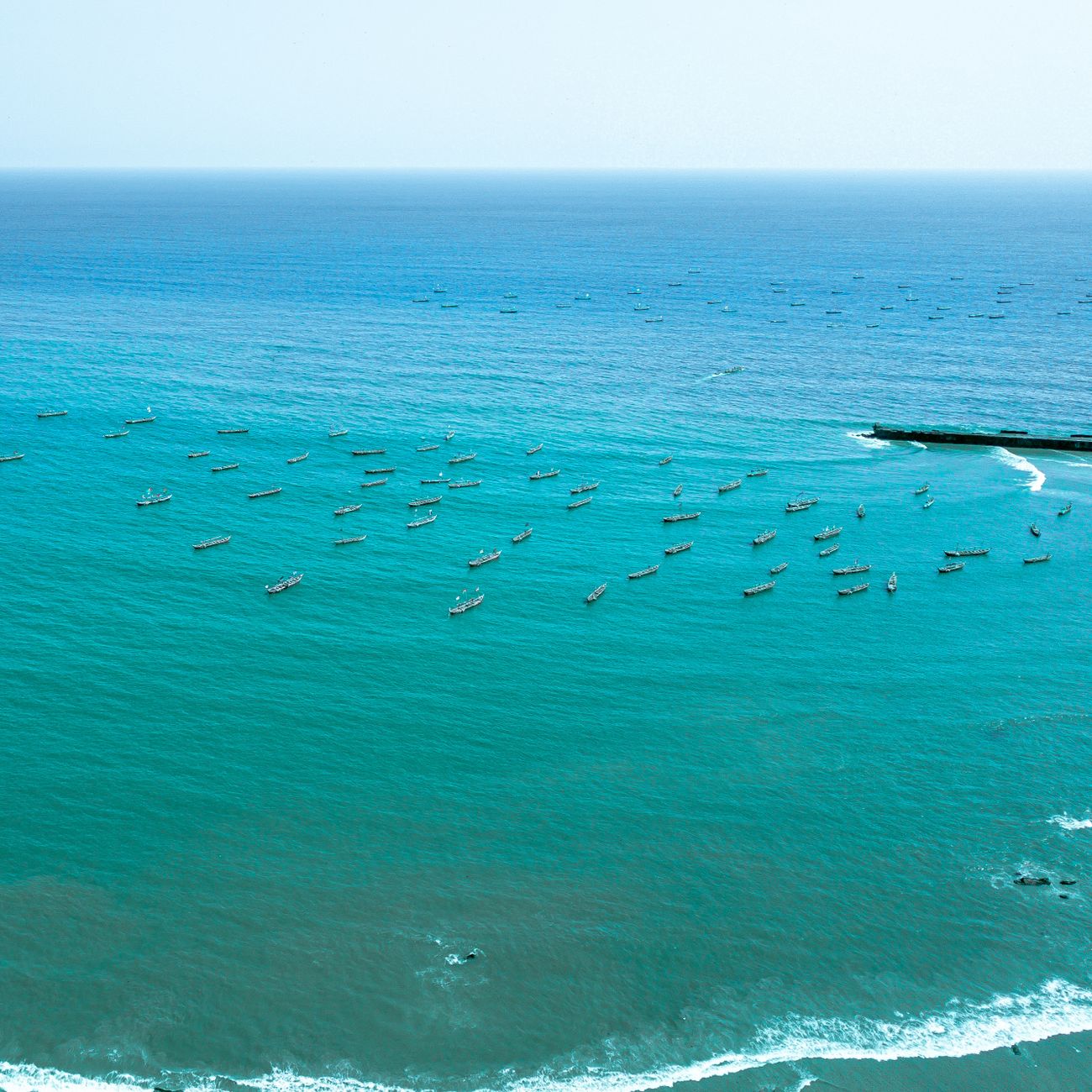 Marine Spatial Planning and Ecosystem Management